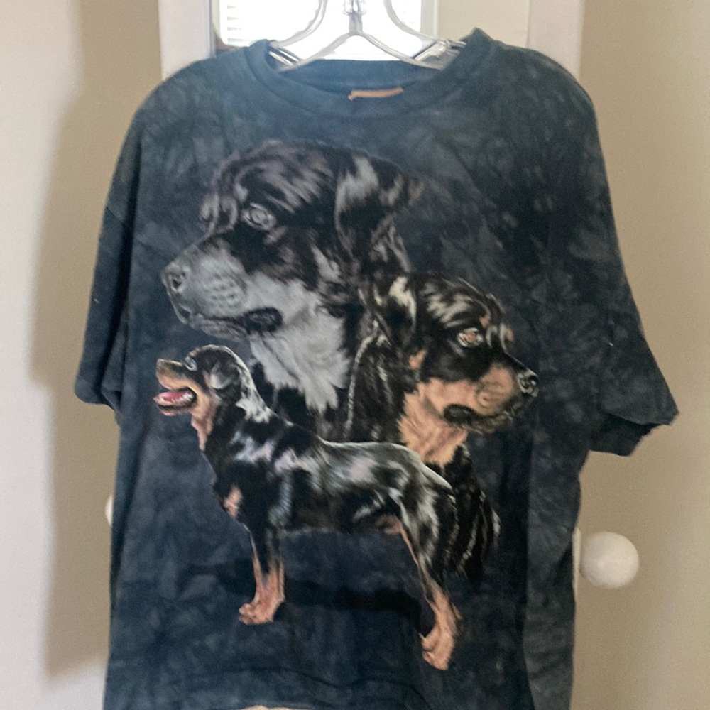 Mens The Mountain Tshirt